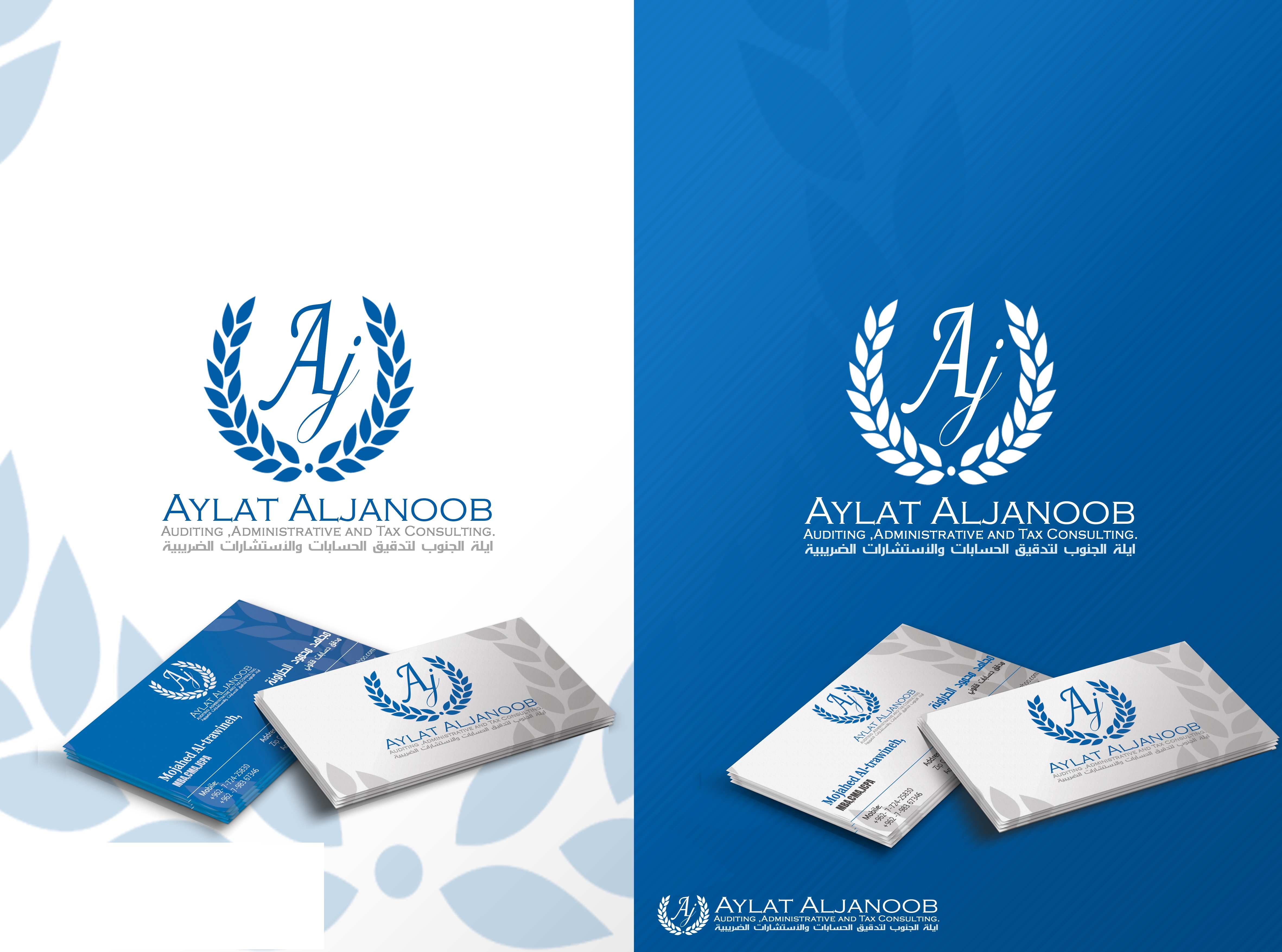 ايلة الجنوب لتدقيق الحسابات والاستشارات الادارية والضريبية